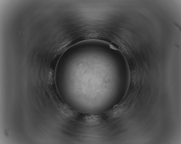 X0000093110378200709261255