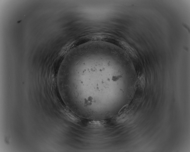 X0000093110381200709261255