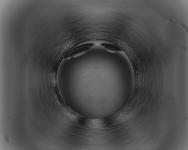 X0000093110383200709261255