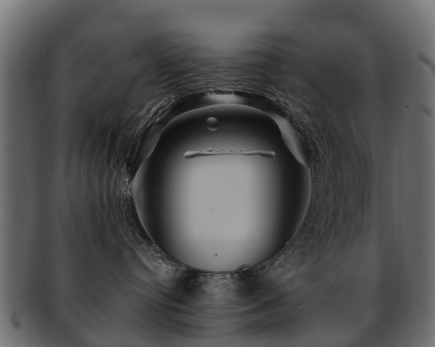 X0000093110384200709261255