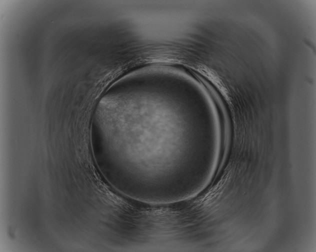 X0000093110385200709261255