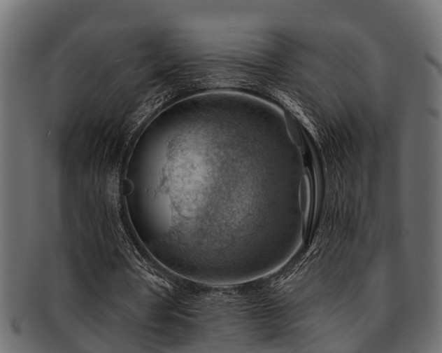 X0000093110386200709261255