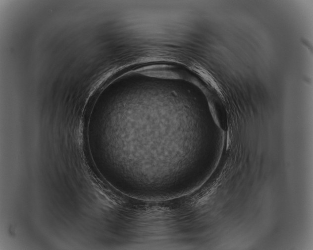 X0000093110387200709261255
