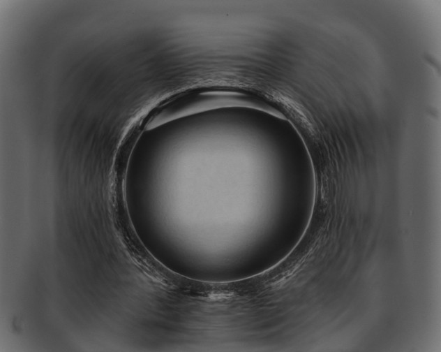 X0000093110388200709261255