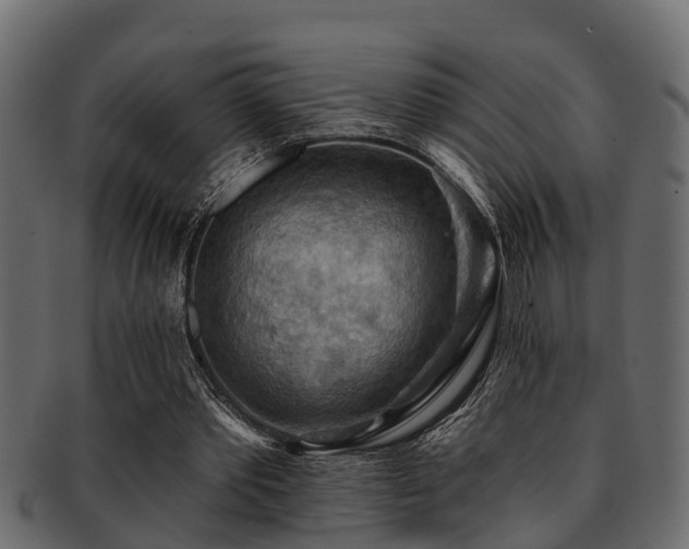 X0000093110389200709261255