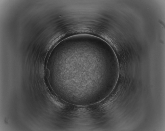 X0000093110390200709261255
