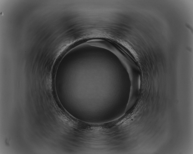 X0000093110391200709261255