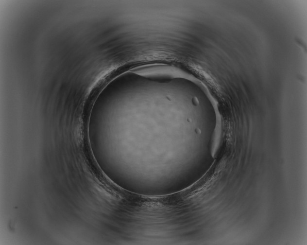 X0000093110392200709261255