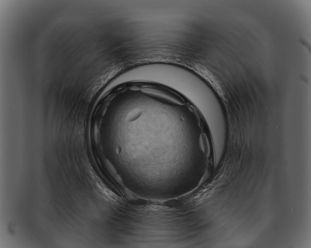 X0000093110393200709261255