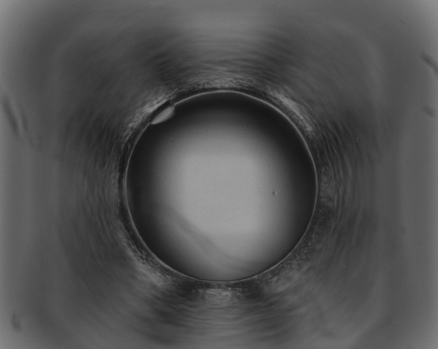 X0000093110394200709261255