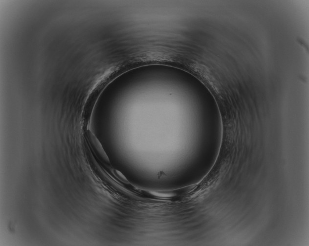 X0000093110395200709261255
