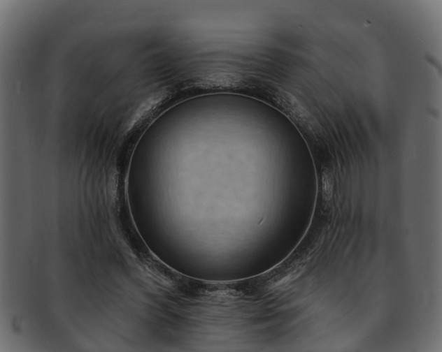 X0000093110396200709261255