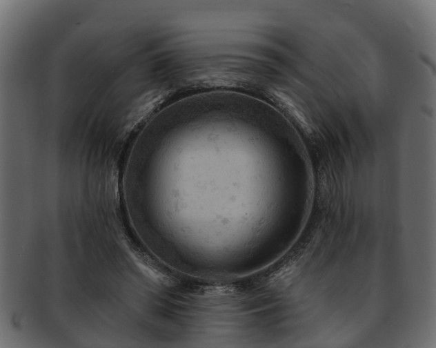 X0000093110398200709261255