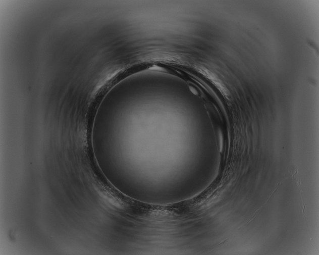 X0000093110399200709261254