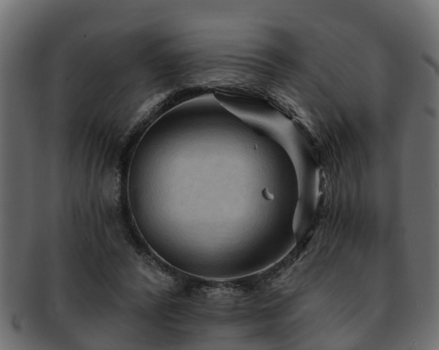X0000093110400200709261254
