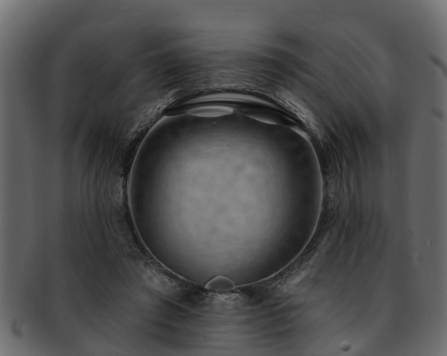 X0000093110401200709261254