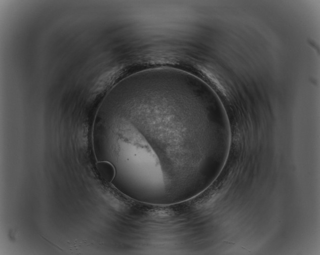 X0000093110402200709261254