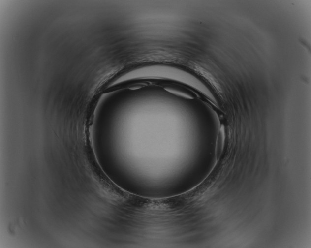 X0000093110403200709261254