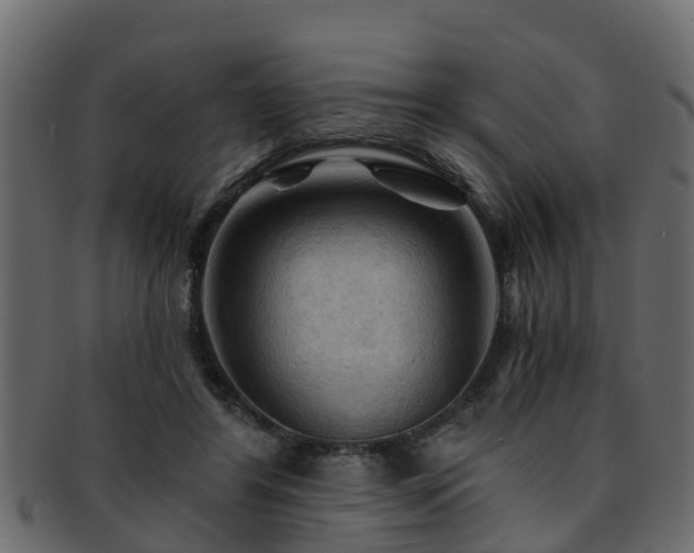 X0000093110404200709261254