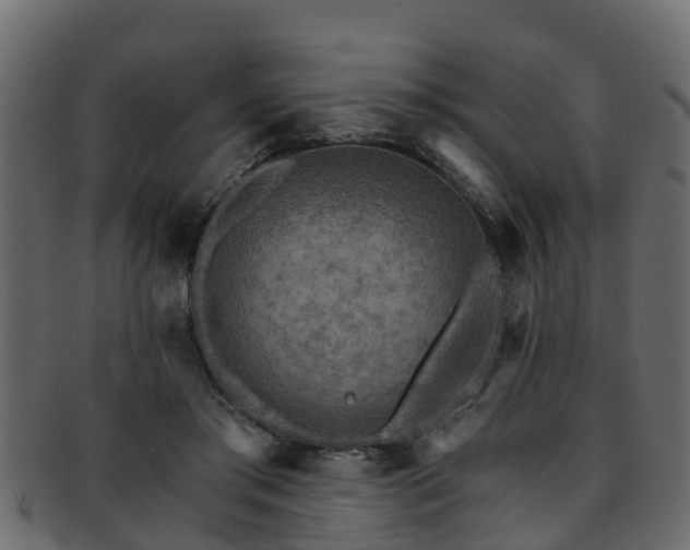 X0000093110405200709261254