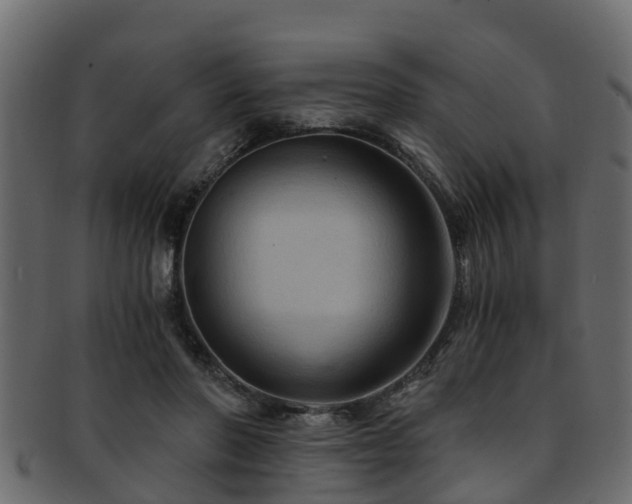 X0000093110406200709261254