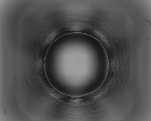 X0000093110407200709261254