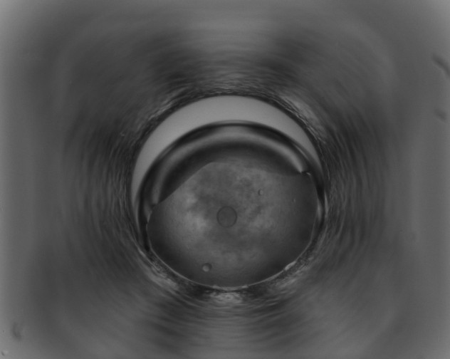 X0000093110409200709261254