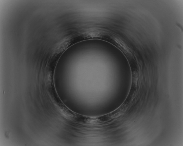 X0000093110410200709261254