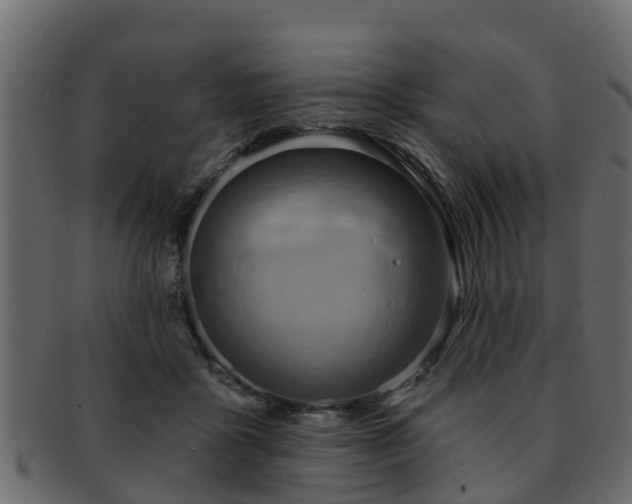 X0000093110411200709261254