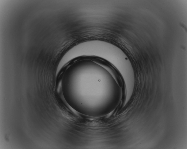 X0000093110412200709261254