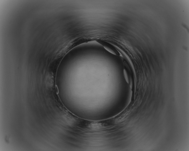 X0000093110413200709261254