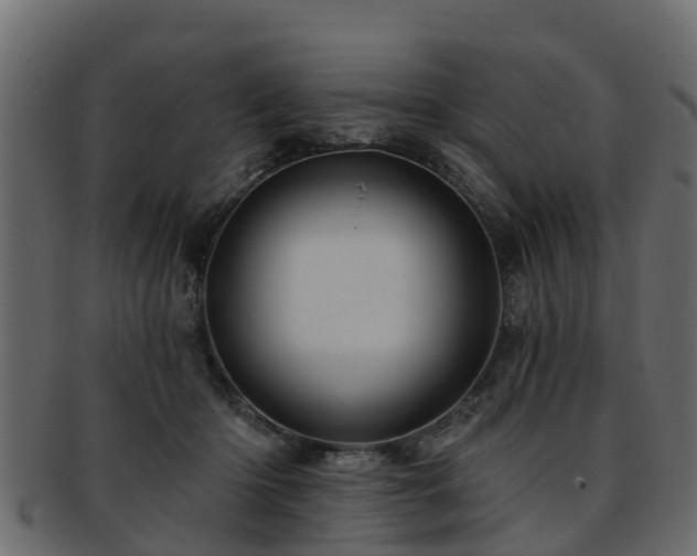 X0000093110414200709261254