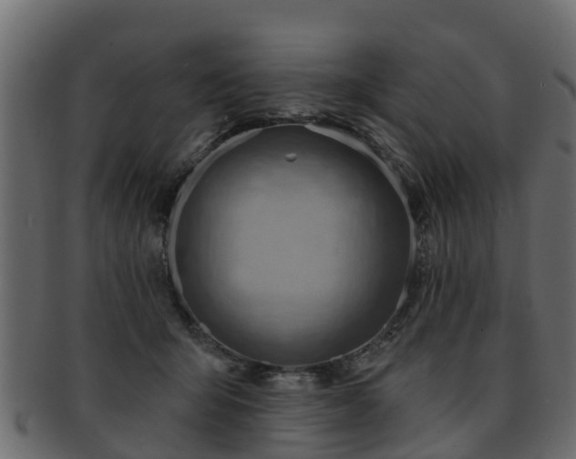 X0000093110415200709261254