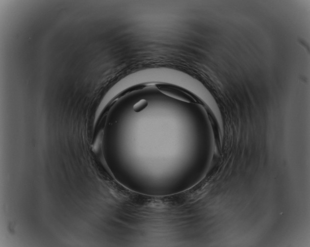 X0000093110416200709261254