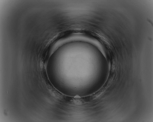 X0000093110417200709261254