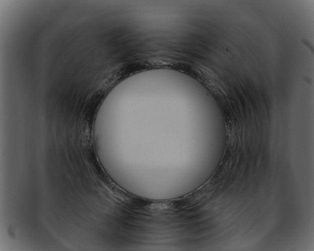X0000093110418200709261254