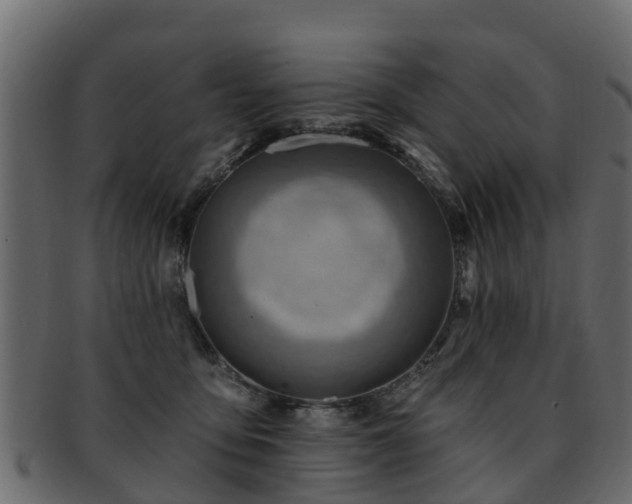 X0000093110419200709261254