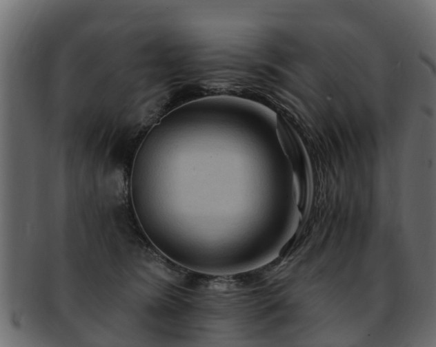 X0000093110420200709261254