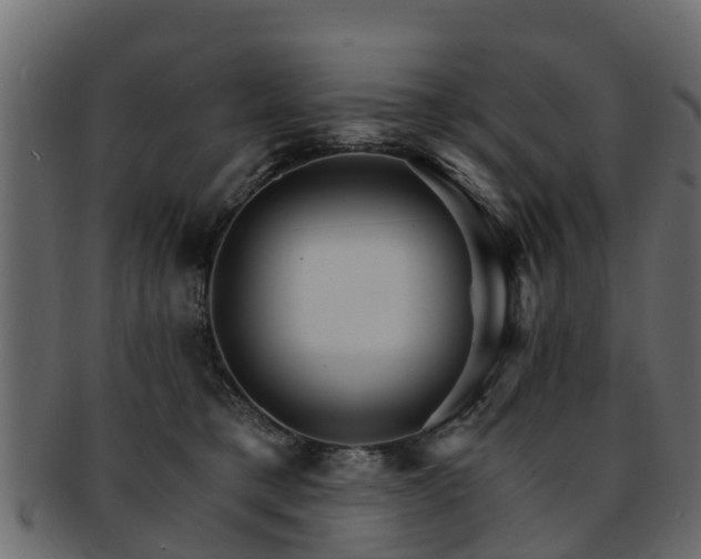 X0000093110421200709261254