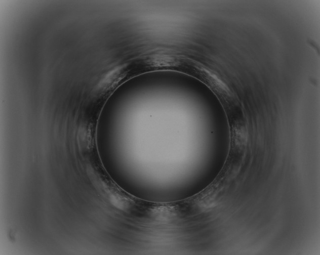 X0000093110422200709261254