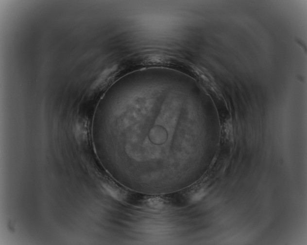 X0000093110423200709261254