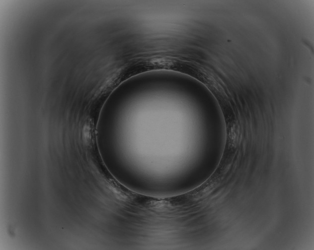 X0000093110424200709261254