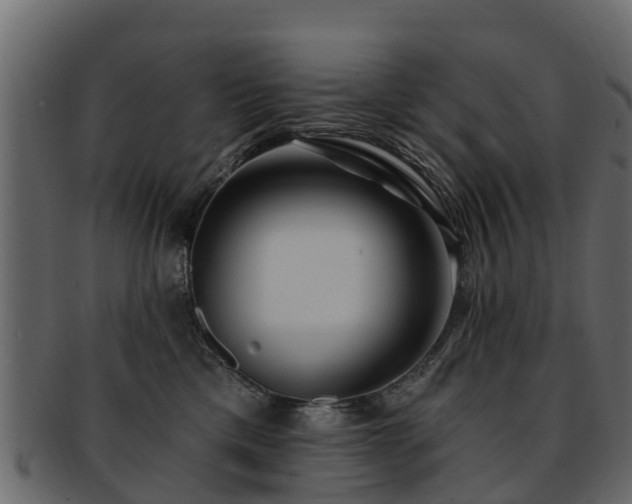X0000093110425200709261254