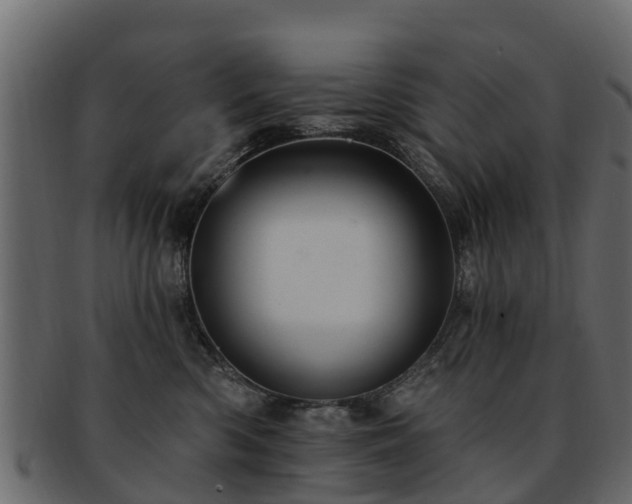 X0000093110426200709261254