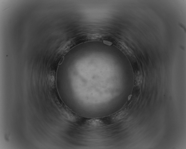 X0000093110427200709261254