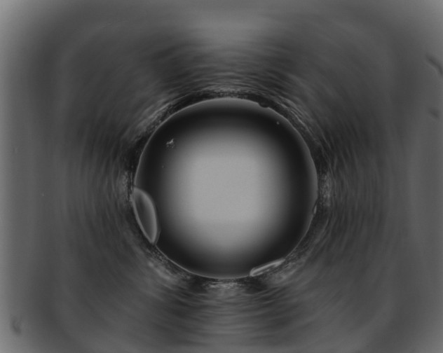 X0000093110428200709261254