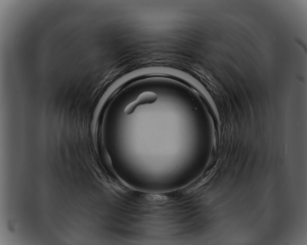 X0000093110429200709261254