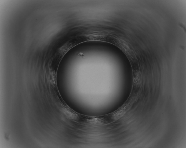 X0000093110430200709261254