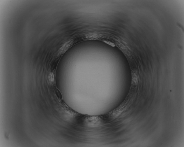 X0000093110431200709261254
