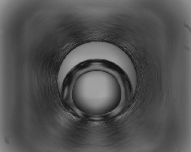 X0000093110432200709261254